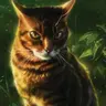 Profile image of Tigerstar