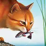 Profile image of Leopardstar