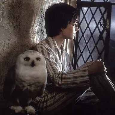 Profile image of ハリー