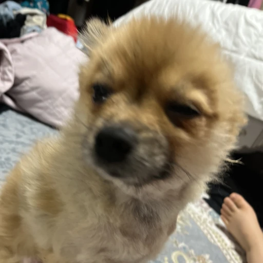 별이