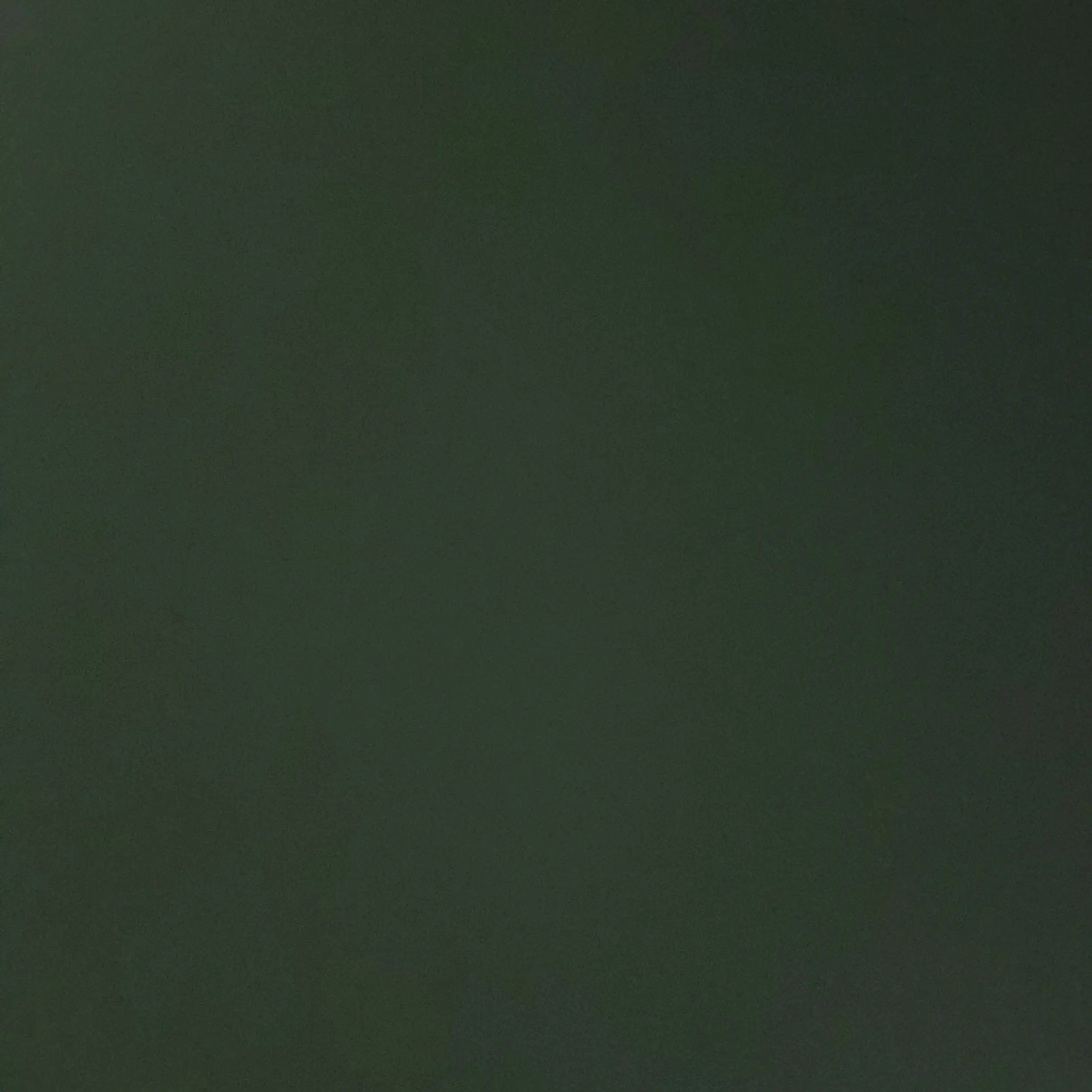 VividBook5358의 센티넬 유저,가이드 태산