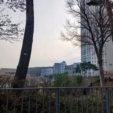 Profile image of 키츠네