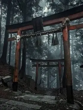 sukai0513의 神社の｢ひみつ｣