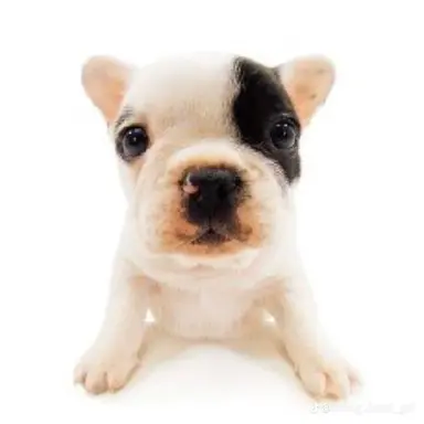 Profile image of たけし