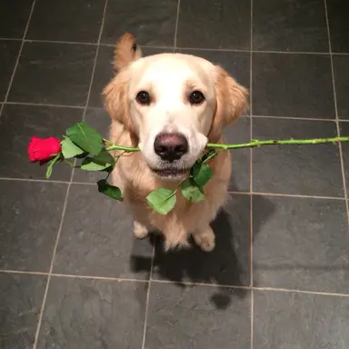 Profile image of 이상윤