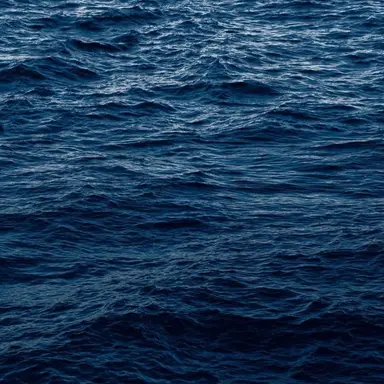Profile image of 황보현