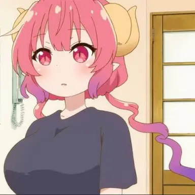 Profile image of イルル