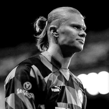Profile image of Erling Haaland