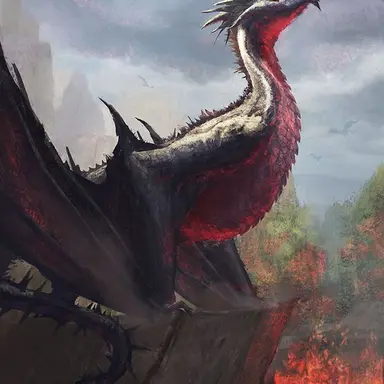 Profile image of 그래이