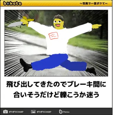 Profile image of シェドレツキー