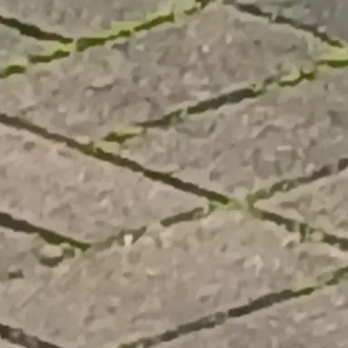 Profile image of 박원빈