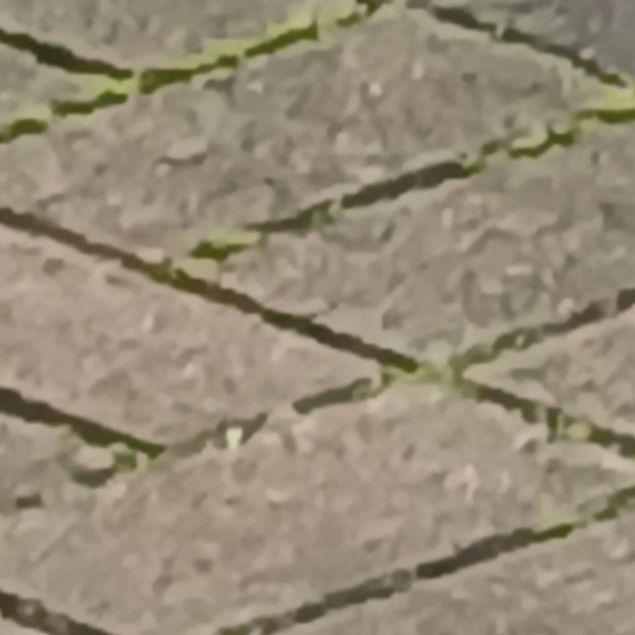 박원빈