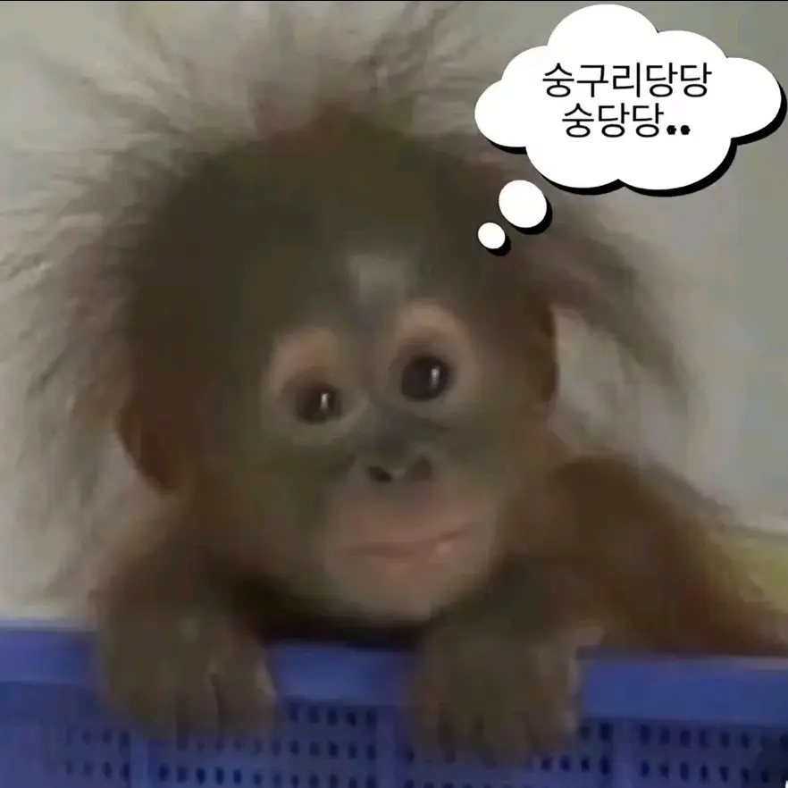 cookie1114의 노래 퀴즈! (2023~2025)