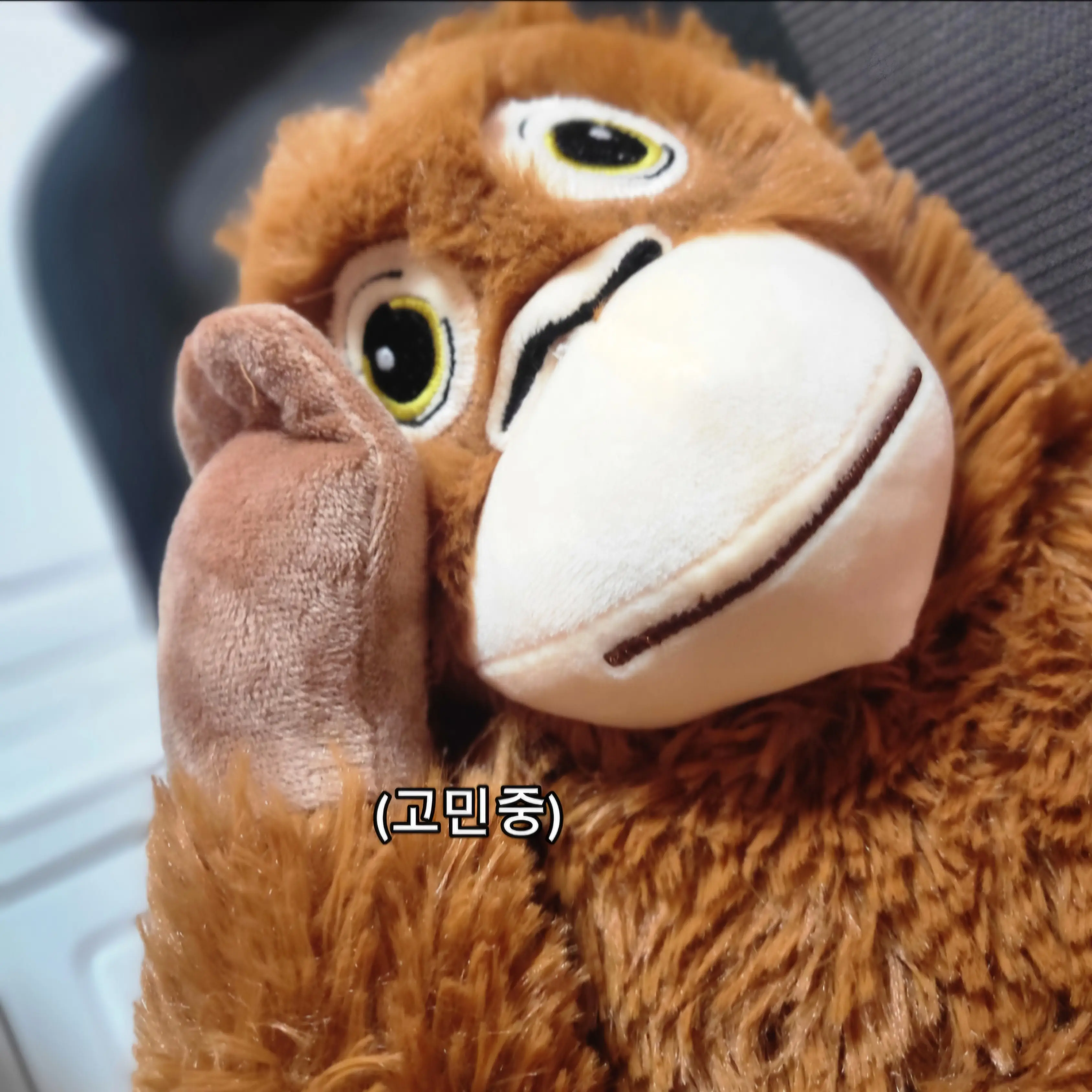 EarthyBid7560의 옾챗 반모자와 친해져 보세요.
