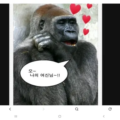 Profile image of 늑대