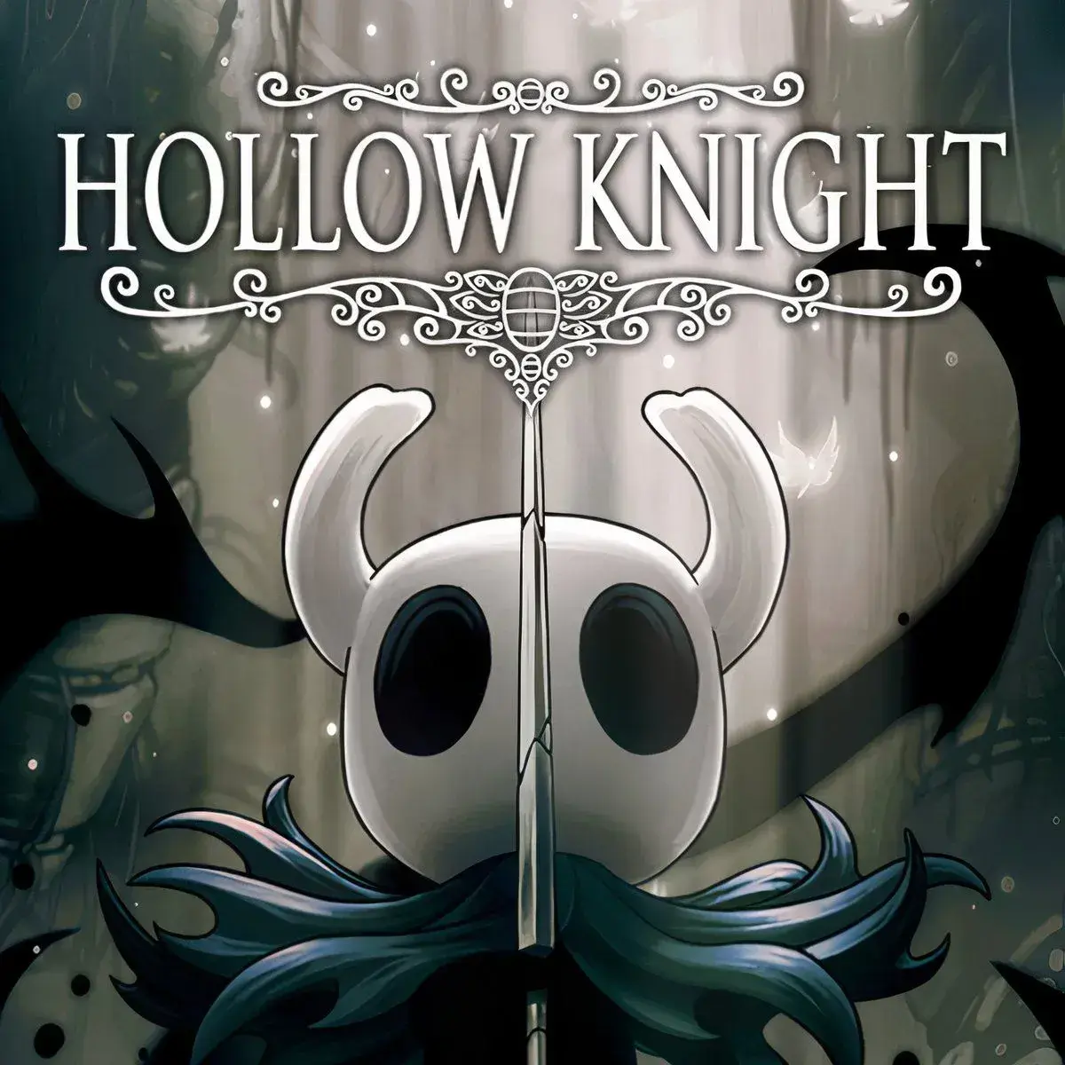 HumaneHoops0758의 MHA x Hollow Knight