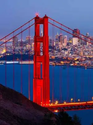 sir_onyx_blue_loves_eric_too의 The Missing Golden Gate