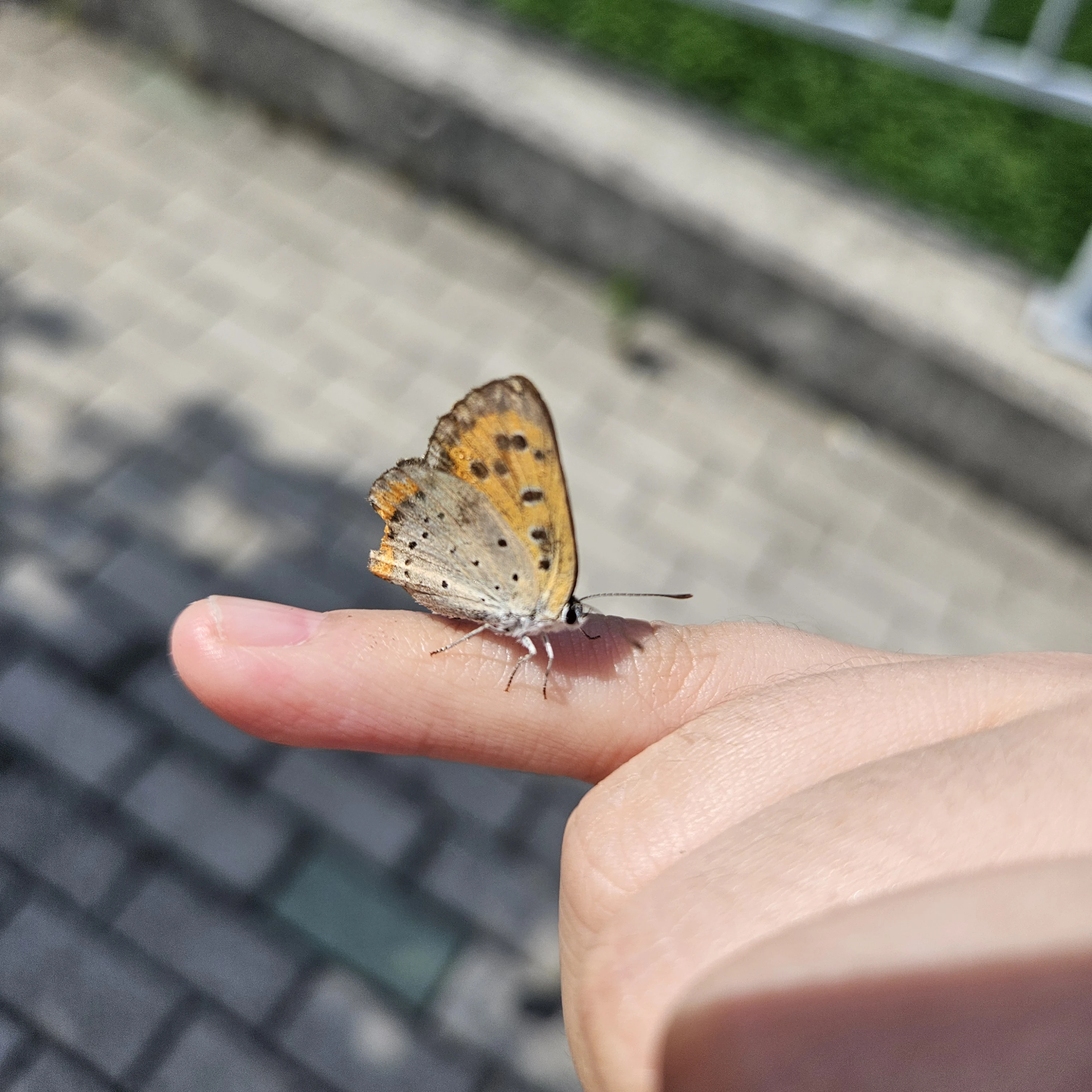 당신
