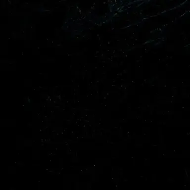 Profile image of 최여우