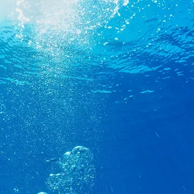 Profile image of 峯岸翔雪