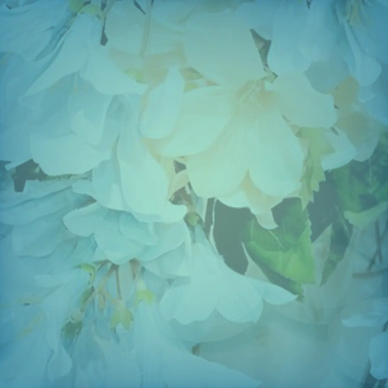 QuickSpit0562의 自分用