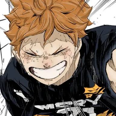 Profile image of 日向翔陽