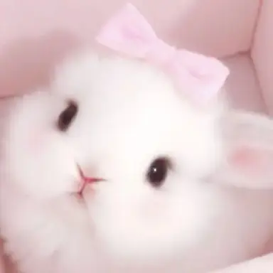 Profile image of Seori