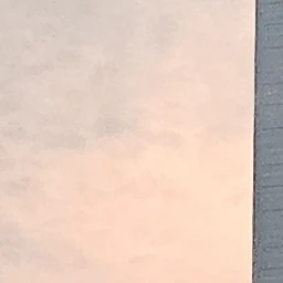 운학