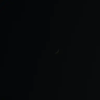 Profile image of 잠뜰