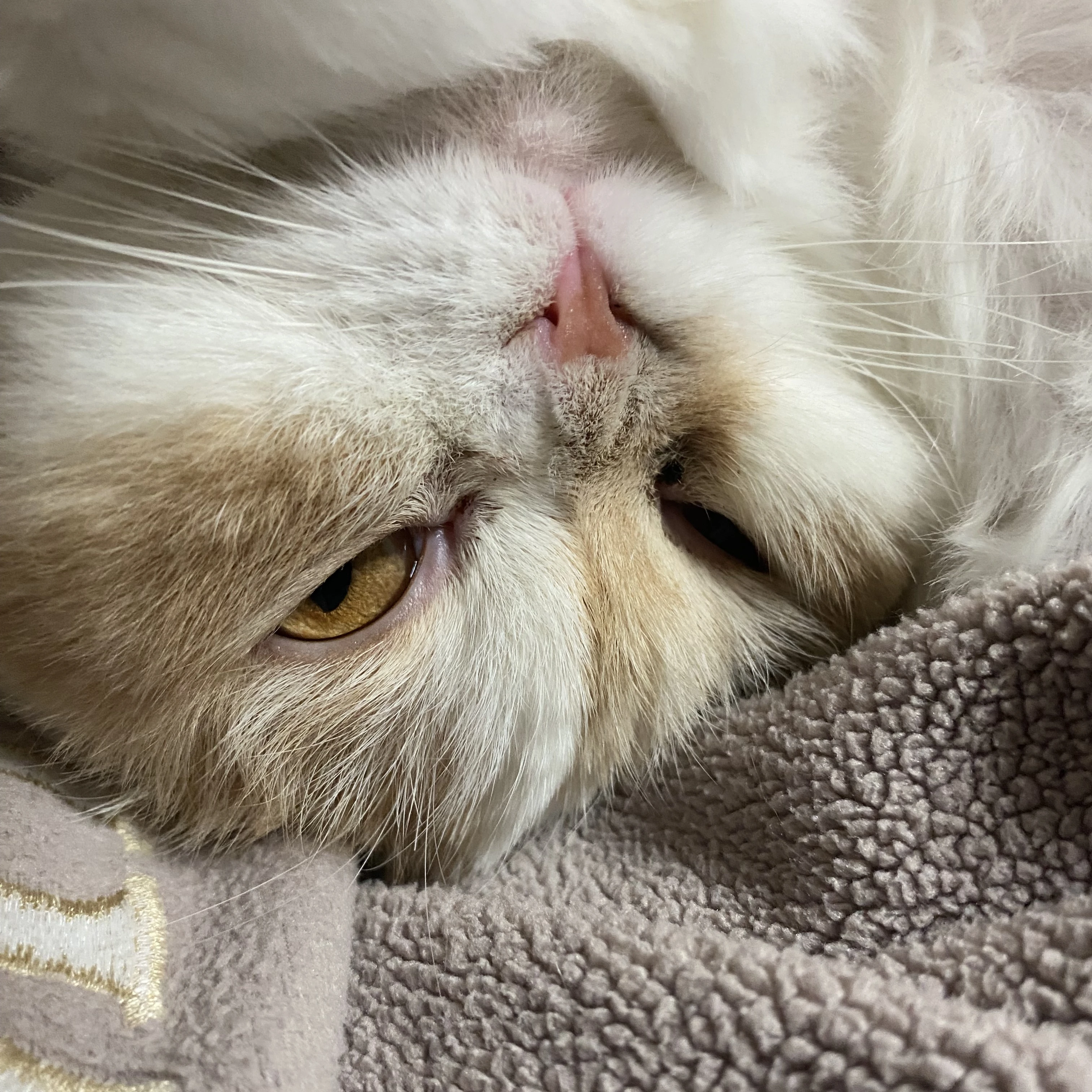 잠뜰