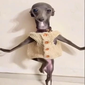 또베