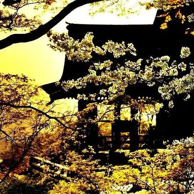 Profile image of 김각별
