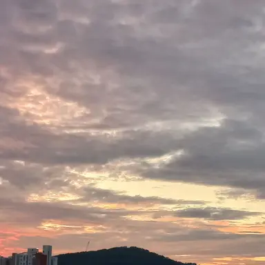 Profile image of 덕개