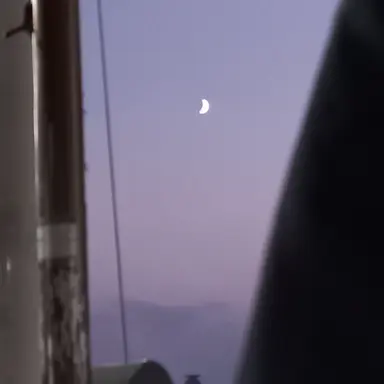 Profile image of 수현