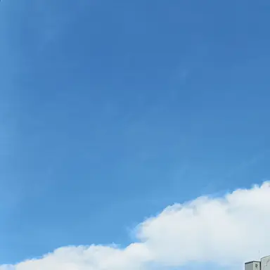 Profile image of 유저늼