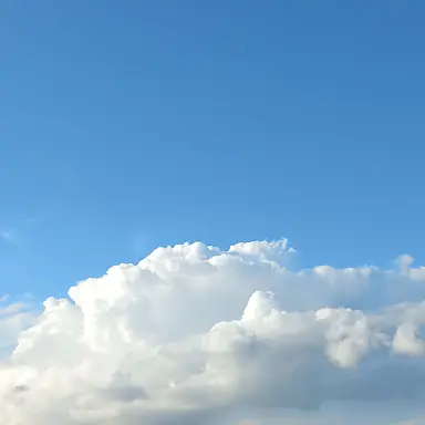 Profile image of 잠뜰