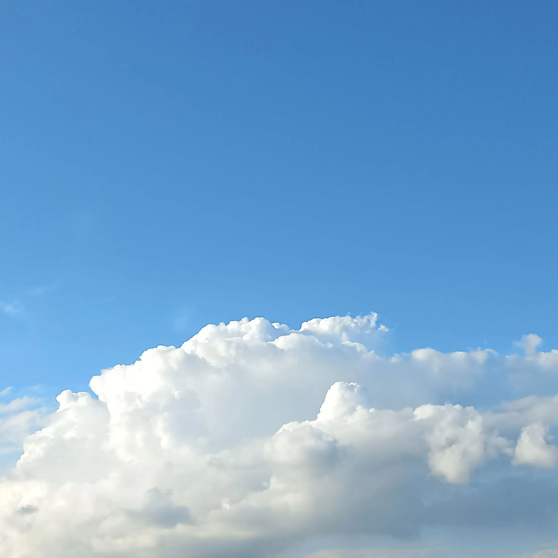 YeastyPhoto3329의 설마 들키겠어?-뱀파이어 유저,픽셀리