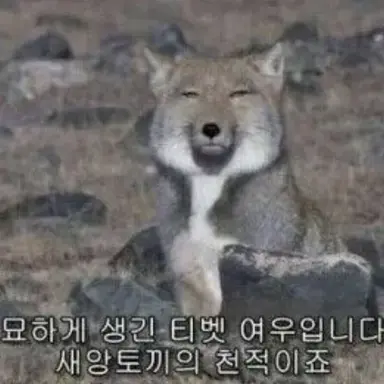 Profile image of 오레와 여우데스