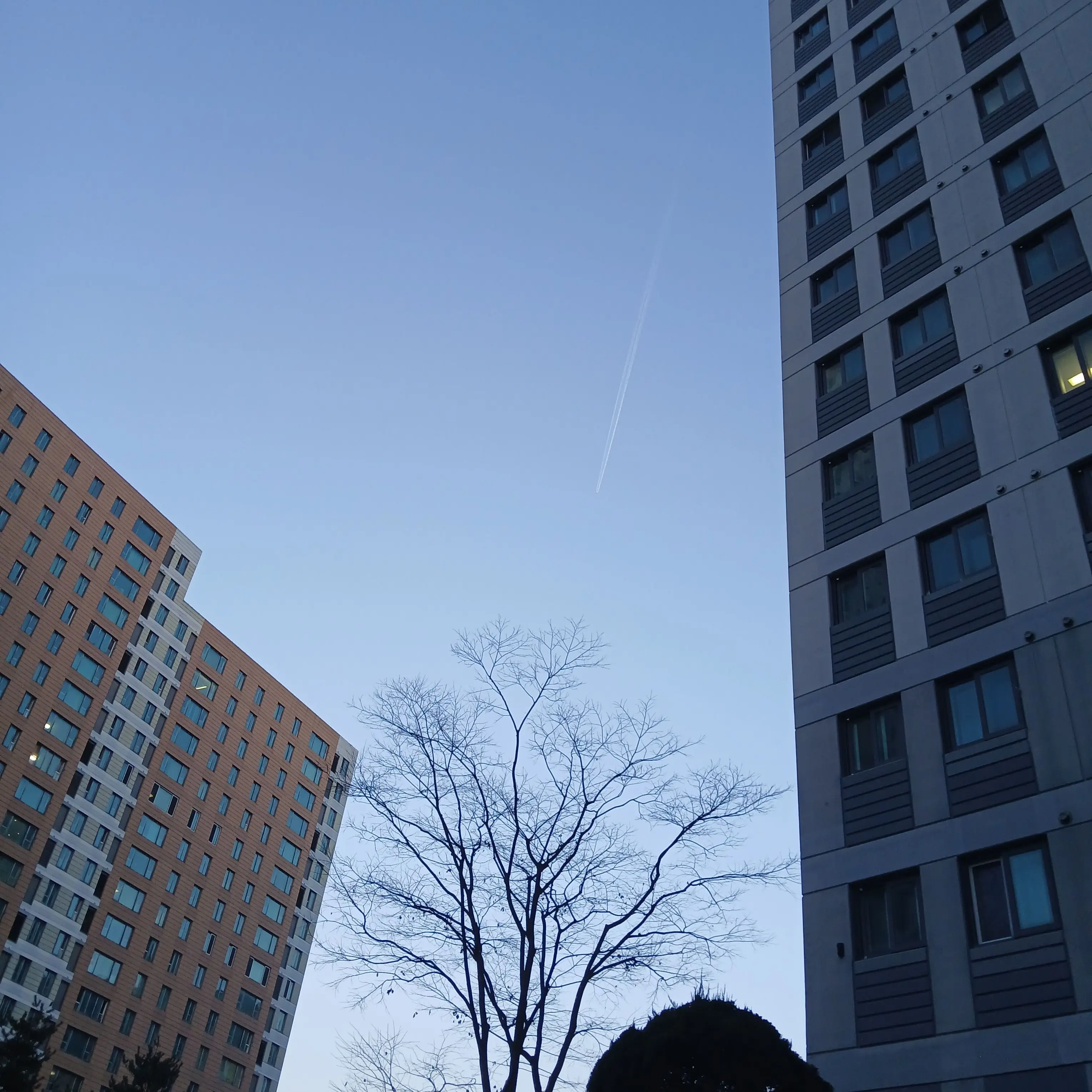 BitterTetra0848의 나무통에있는데 사네미가 칼로 찔른다?