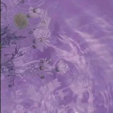 Profile image of 멜로우