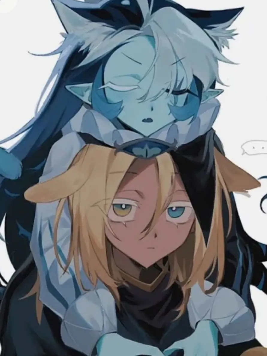 EIEI-eiei의 개냥이랑 냥아지