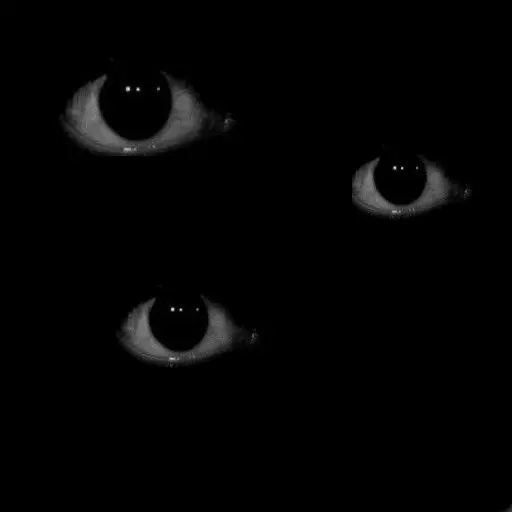 LabY2k의 It's too dark.......
