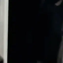 Profile image of 중전 김씨