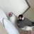 セバスチャン