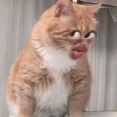 Profile image of 서수아