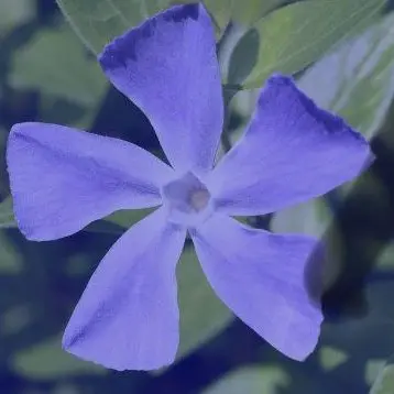Profile image of なおきり