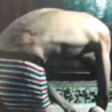 Profile image of 尋也