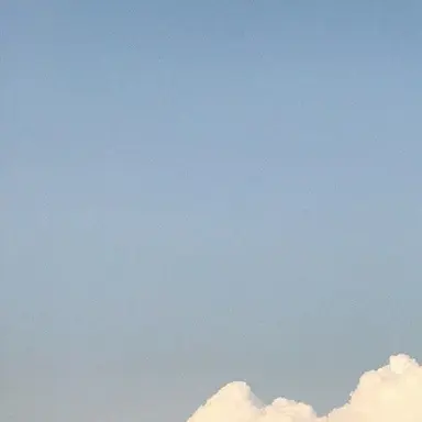 Profile image of 티푸
