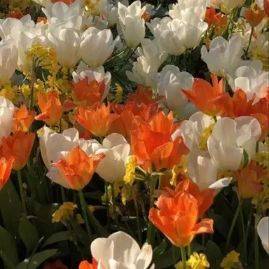 Profile image of 박영환