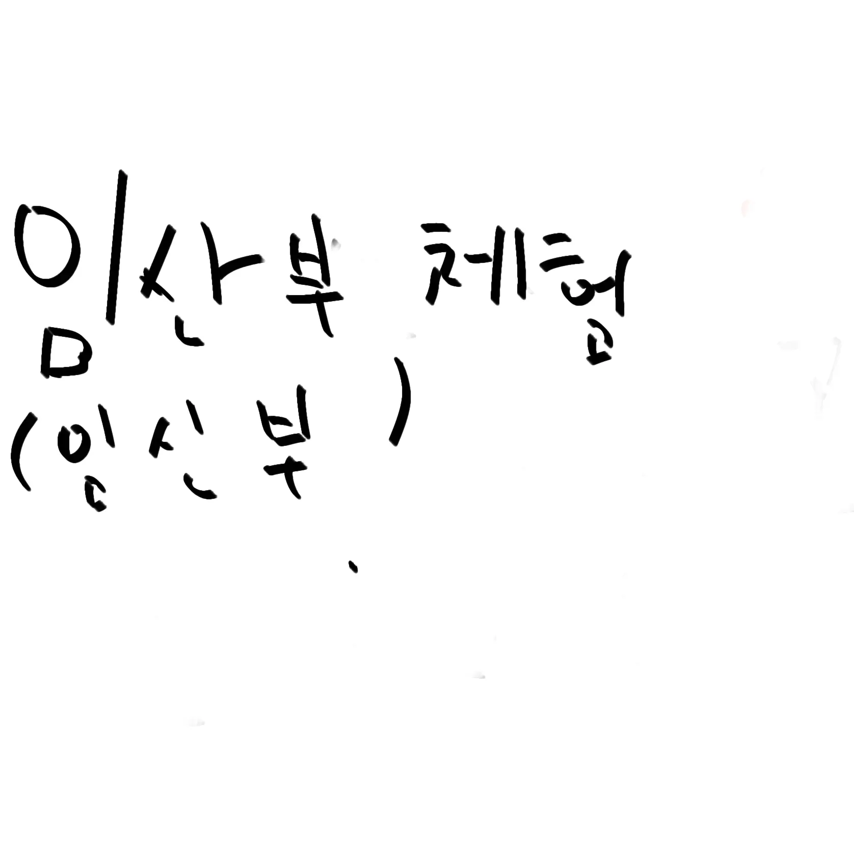 NimbleMop8348의 임산부체험
